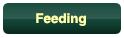 Feeding